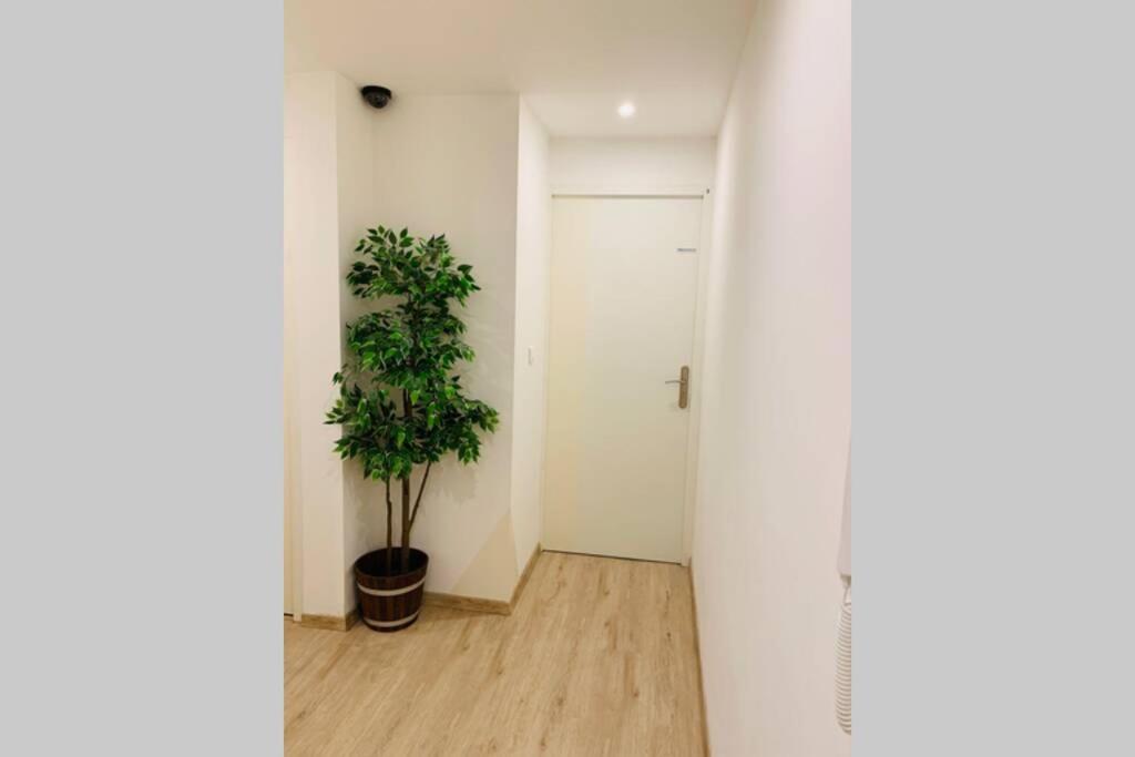 Provence Appartement مانوسك المظهر الخارجي الصورة